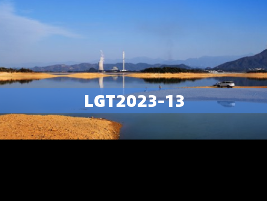 LGT2023-13