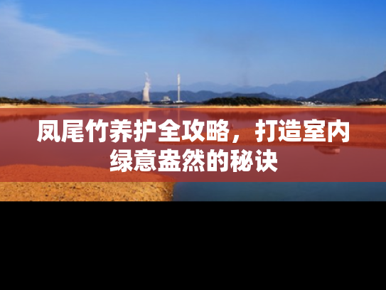 凤尾竹养护全攻略，打造室内绿意盎然的秘诀