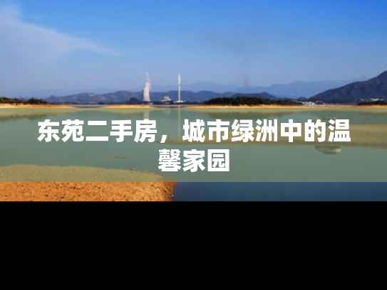 东苑二手房，城市绿洲中的温馨家园