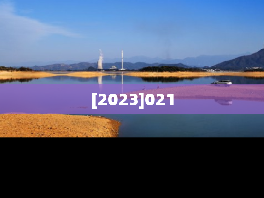 [2023]021