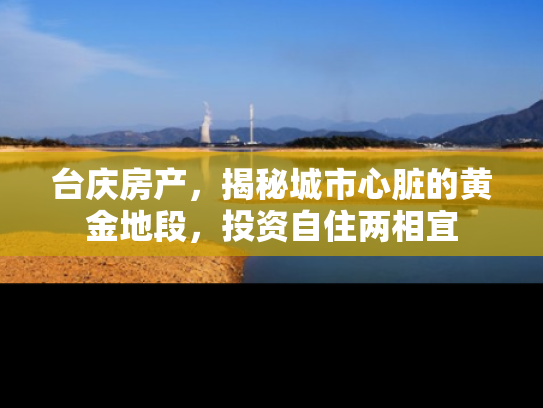台庆房产，揭秘城市心脏的黄金地段，投资自住两相宜