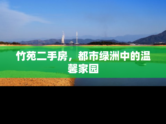 竹苑二手房，都市绿洲中的温馨家园