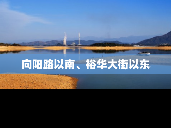 向阳路以南、裕华大街以东