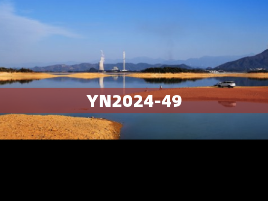 YN2024-49