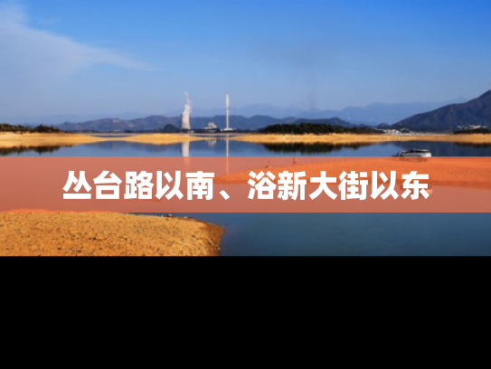 丛台路以南、浴新大街以东