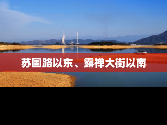 苏固路以东、露禅大街以南