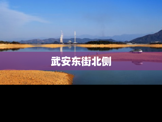 武安东街北侧