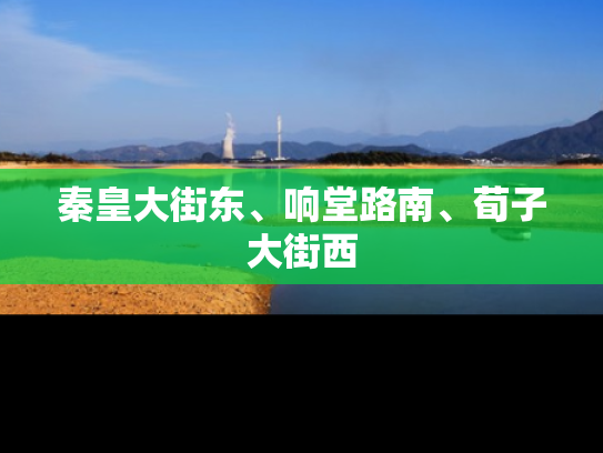 秦皇大街东、响堂路南、荀子大街西