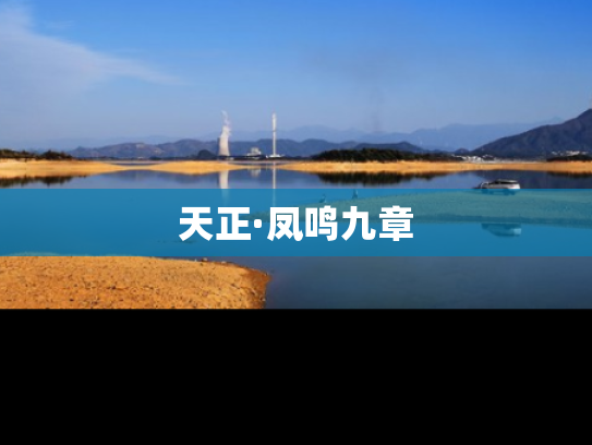 天正·凤鸣九章