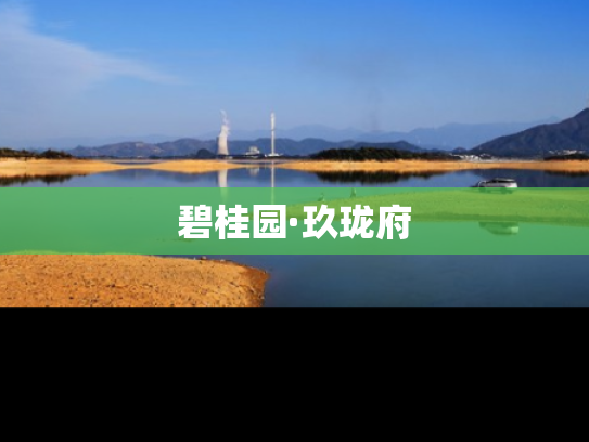 碧桂园·玖珑府