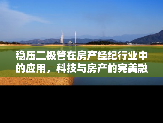 稳压二极管在房产经纪行业中的应用，科技与房产的完美融合