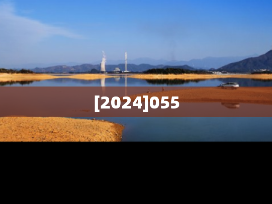 [2024]055