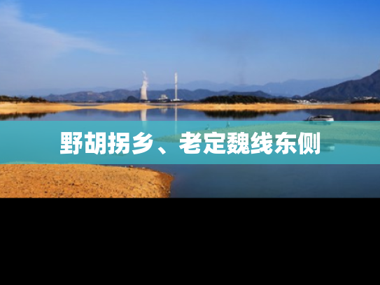 野胡拐乡、老定魏线东侧