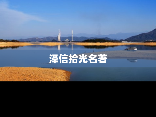泽信拾光名著
