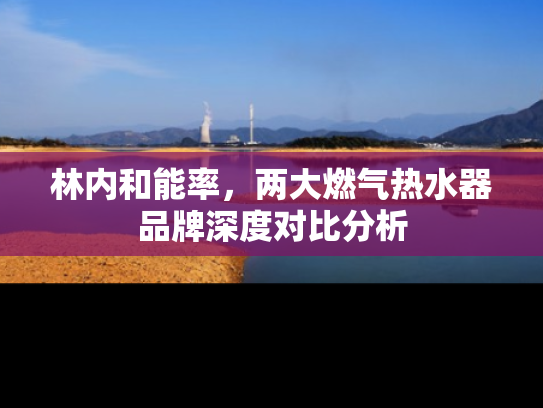 林内和能率，两大燃气热水器品牌深度对比分析