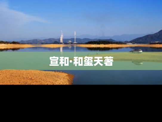宣和·和玺天著
