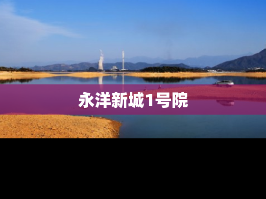 永洋新城1号院