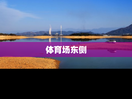 体育场东侧