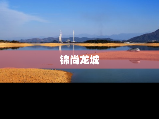 锦尚龙城