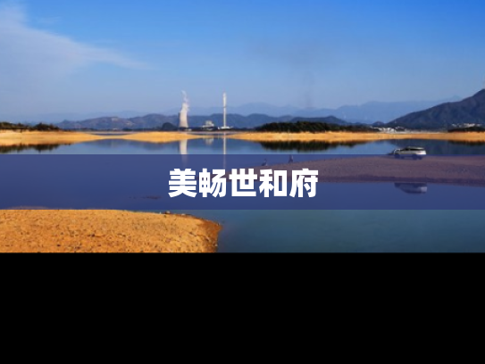 美畅世和府