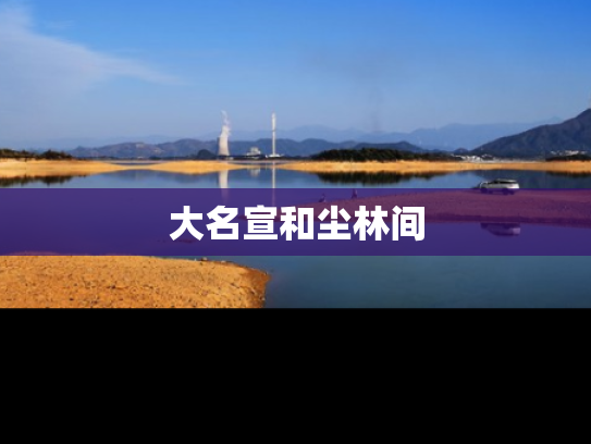 大名宣和尘林间
