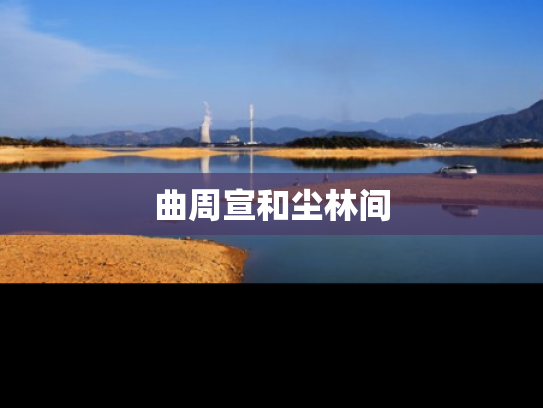 曲周宣和尘林间