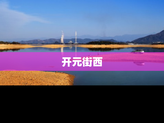 开元街西